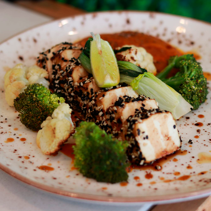 Tataki de Tofu com molho Teriyaki